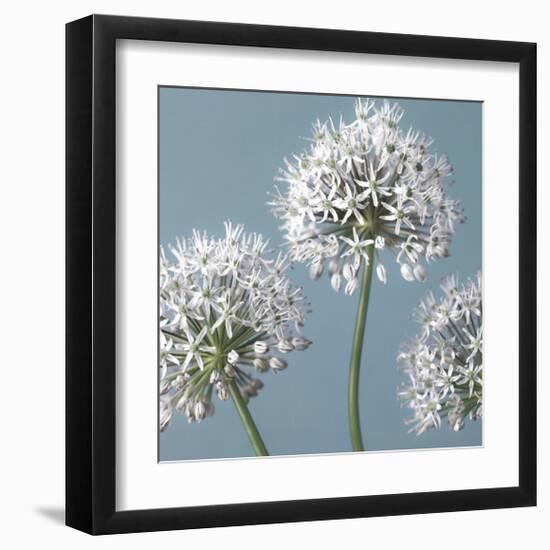 Bliss I-Assaf Frank-Framed Giclee Print