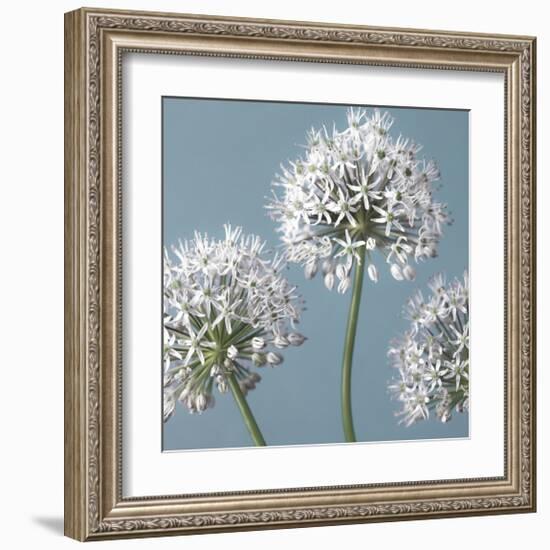 Bliss I-Assaf Frank-Framed Giclee Print