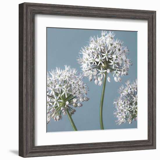 Bliss I-Assaf Frank-Framed Giclee Print