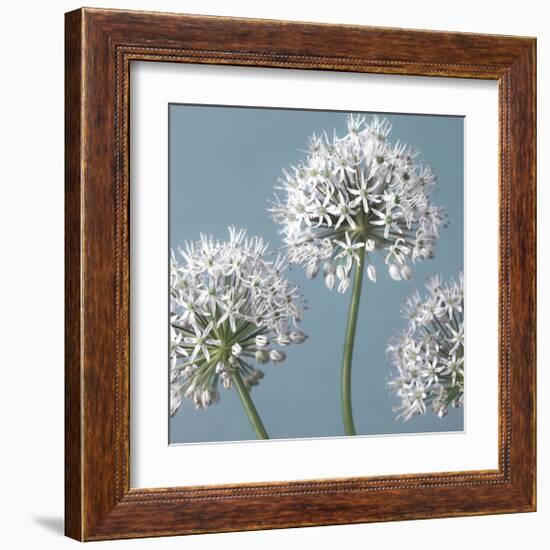 Bliss I-Assaf Frank-Framed Giclee Print