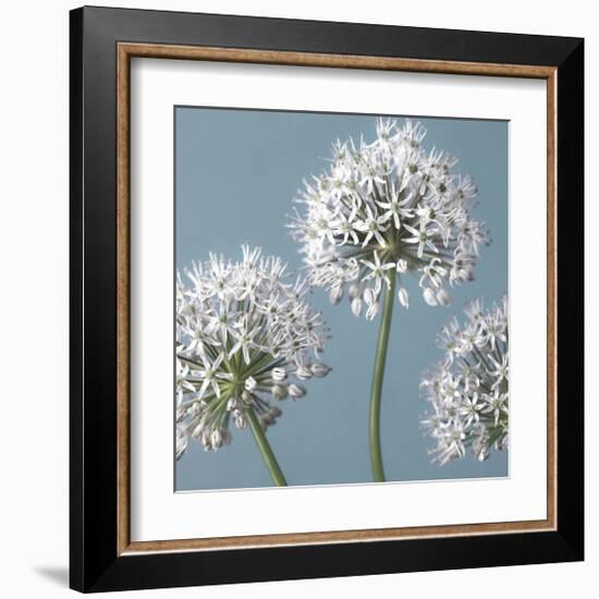 Bliss I-Assaf Frank-Framed Giclee Print