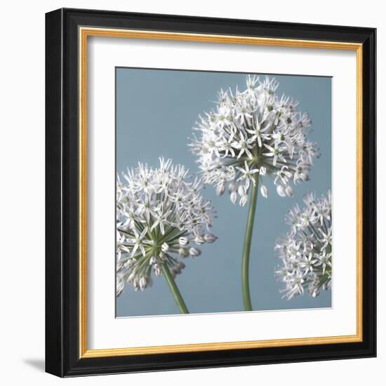 Bliss I-Assaf Frank-Framed Giclee Print