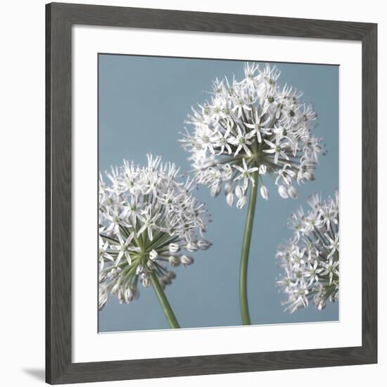 Bliss I-Assaf Frank-Framed Giclee Print