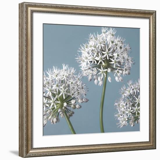 Bliss I-Assaf Frank-Framed Giclee Print