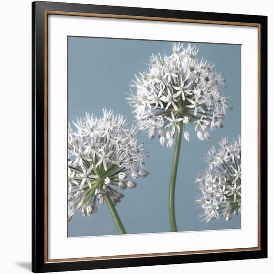 Bliss I-Assaf Frank-Framed Giclee Print