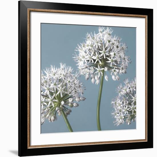 Bliss I-Assaf Frank-Framed Giclee Print