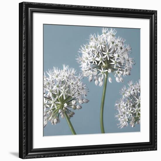 Bliss I-Assaf Frank-Framed Giclee Print