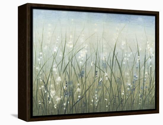 Bliss I-Tim O'toole-Framed Stretched Canvas