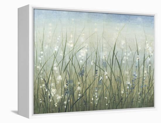 Bliss I-Tim O'toole-Framed Stretched Canvas