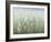 Bliss I-Tim O'toole-Framed Premium Giclee Print