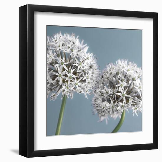 Bliss II-Assaf Frank-Framed Giclee Print