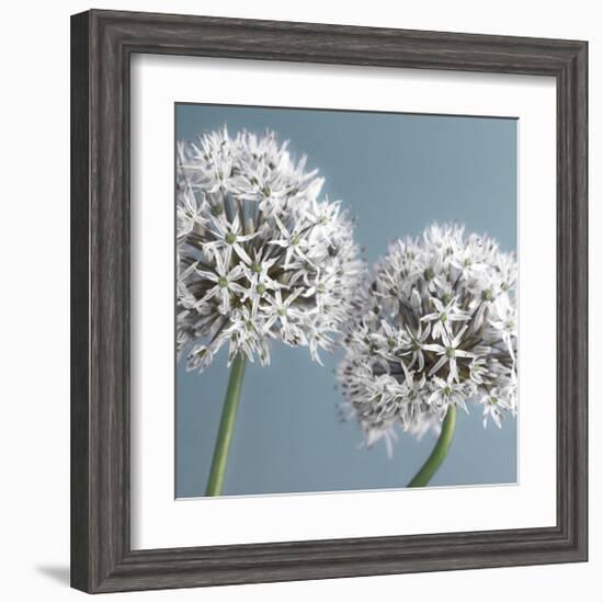 Bliss II-Assaf Frank-Framed Giclee Print