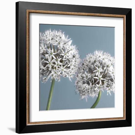 Bliss II-Assaf Frank-Framed Giclee Print