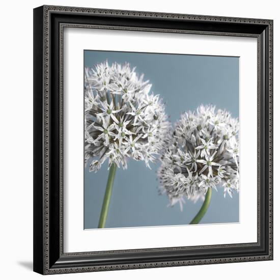 Bliss II-Assaf Frank-Framed Giclee Print