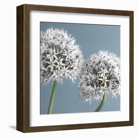 Bliss II-Assaf Frank-Framed Giclee Print