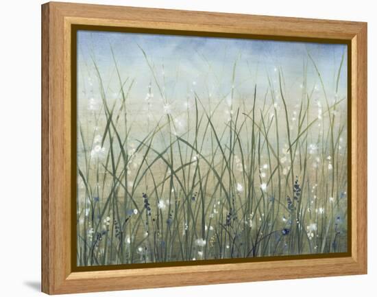 Bliss II-Tim O'toole-Framed Stretched Canvas