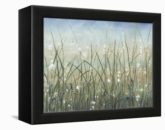 Bliss II-Tim O'toole-Framed Stretched Canvas