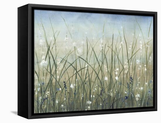 Bliss II-Tim O'toole-Framed Stretched Canvas