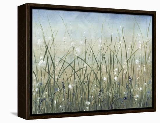 Bliss II-Tim O'toole-Framed Stretched Canvas