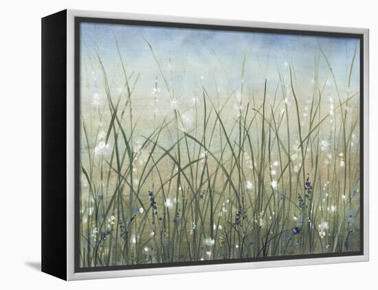 Bliss II-Tim O'toole-Framed Stretched Canvas