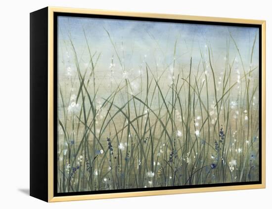 Bliss II-Tim O'toole-Framed Stretched Canvas