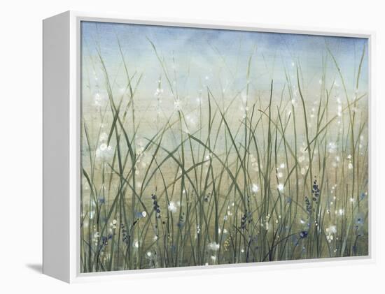 Bliss II-Tim O'toole-Framed Stretched Canvas