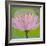 Bliss Lotus II-Jodi Fuchs-Framed Art Print