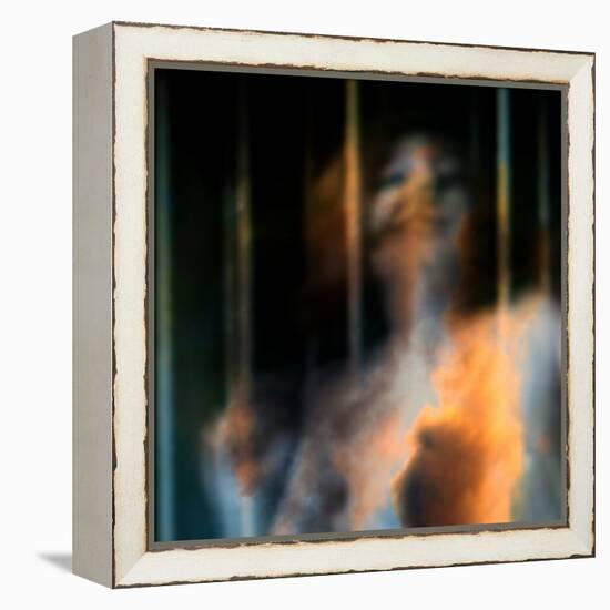 Bliss-Gideon Ansell-Framed Premier Image Canvas