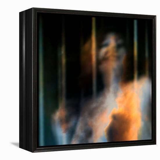 Bliss-Gideon Ansell-Framed Premier Image Canvas