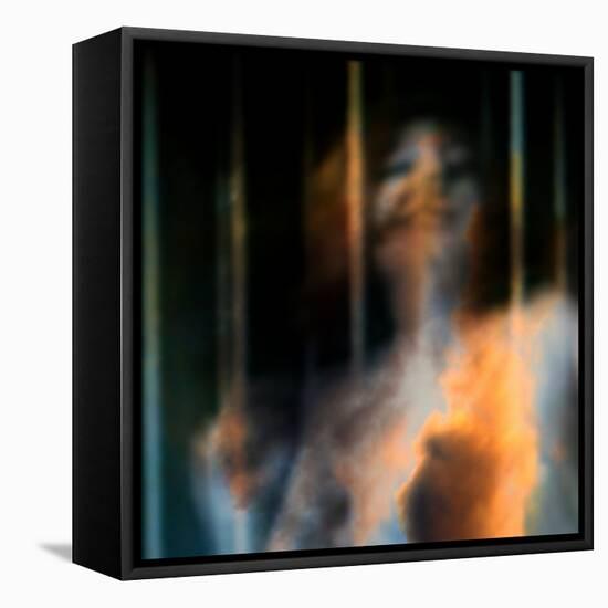 Bliss-Gideon Ansell-Framed Premier Image Canvas