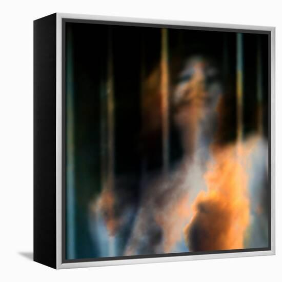 Bliss-Gideon Ansell-Framed Premier Image Canvas