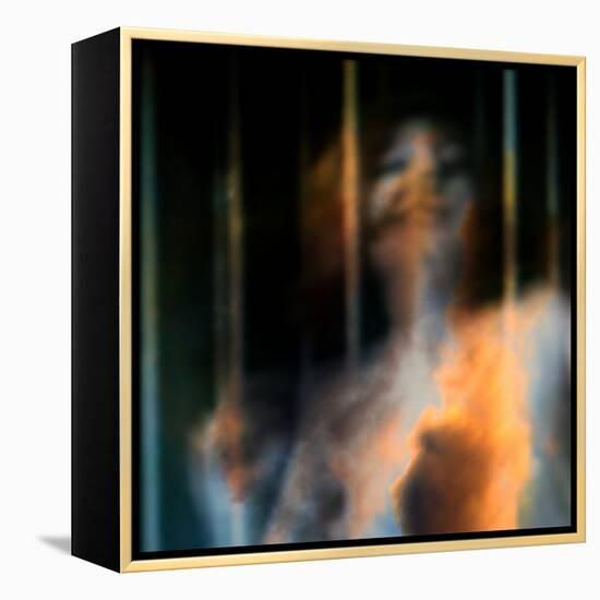 Bliss-Gideon Ansell-Framed Premier Image Canvas