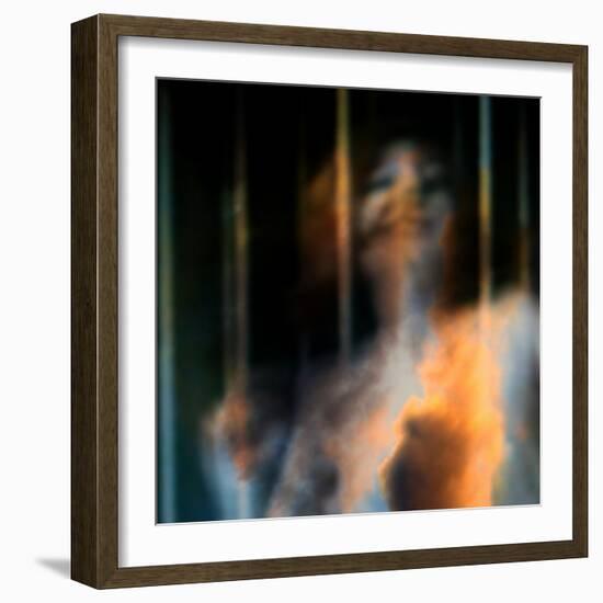 Bliss-Gideon Ansell-Framed Photographic Print