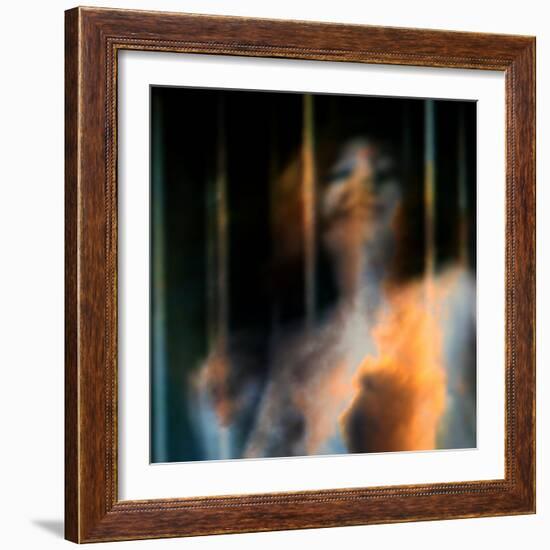 Bliss-Gideon Ansell-Framed Photographic Print