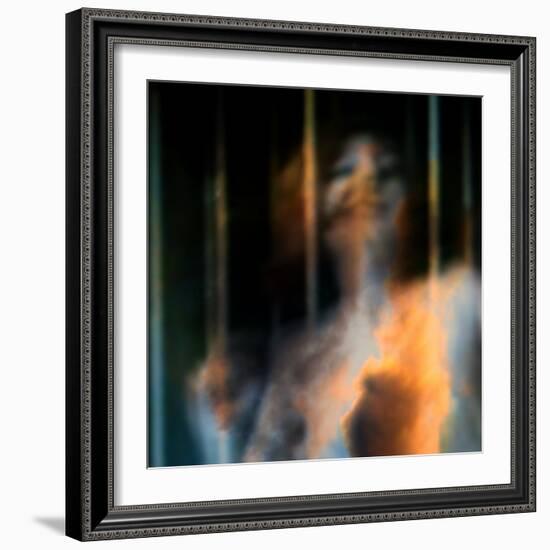 Bliss-Gideon Ansell-Framed Photographic Print