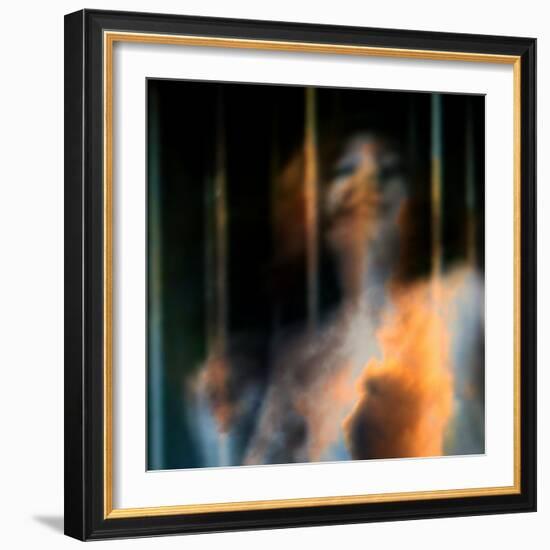 Bliss-Gideon Ansell-Framed Photographic Print