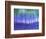 Bliss-Herb Dickinson-Framed Photographic Print
