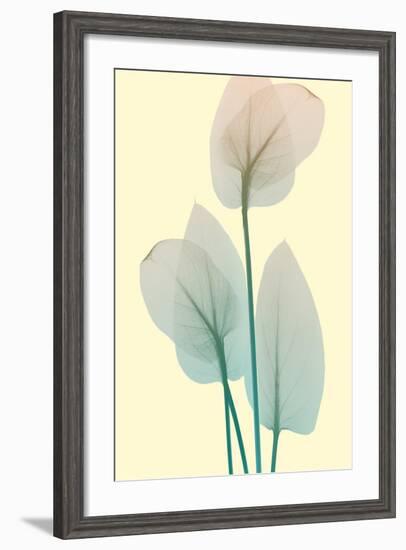 Blissful Bloom 1-Albert Koetsier-Framed Photo