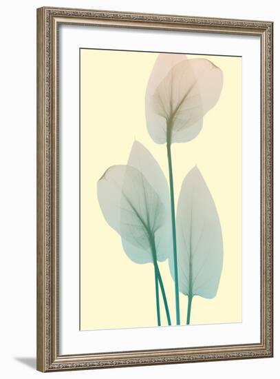 Blissful Bloom 1-Albert Koetsier-Framed Photo