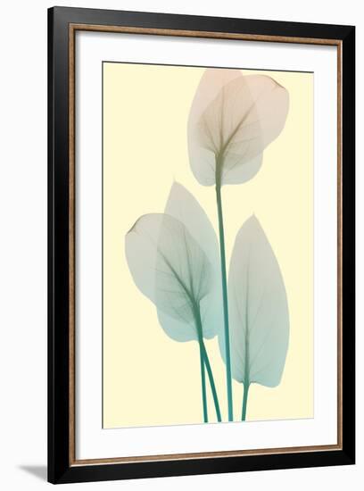 Blissful Bloom 1-Albert Koetsier-Framed Photo