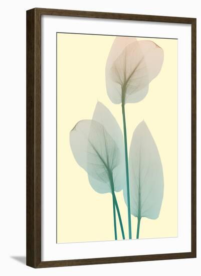 Blissful Bloom 1-Albert Koetsier-Framed Photo