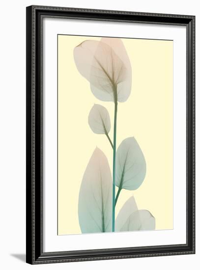 Blissful Bloom 2-Albert Koetsier-Framed Photo