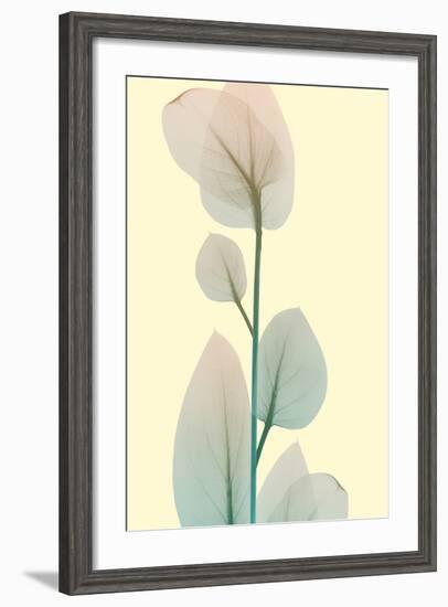 Blissful Bloom 2-Albert Koetsier-Framed Photo