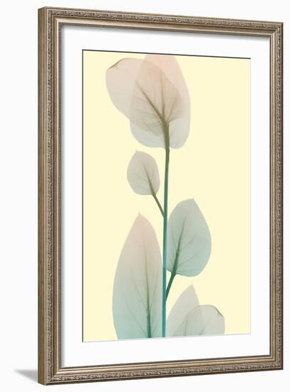 Blissful Bloom 2-Albert Koetsier-Framed Photo