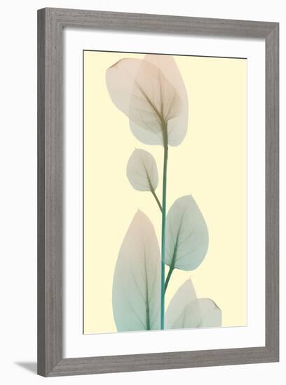 Blissful Bloom 2-Albert Koetsier-Framed Photo