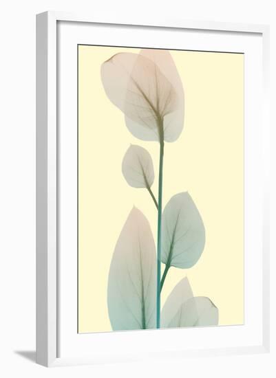 Blissful Bloom 2-Albert Koetsier-Framed Photo