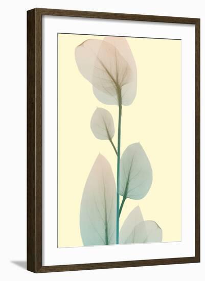 Blissful Bloom 2-Albert Koetsier-Framed Photo