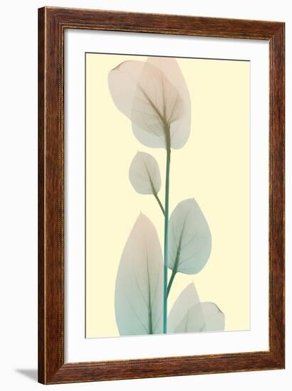 Blissful Bloom 2-Albert Koetsier-Framed Photo