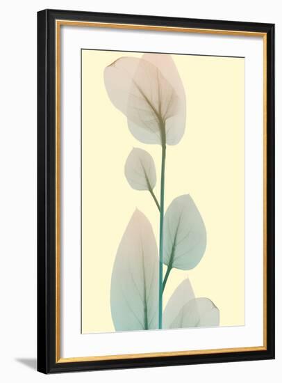 Blissful Bloom 2-Albert Koetsier-Framed Photo