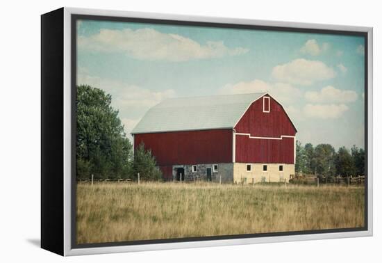 Blissful Country VI Crop-Elizabeth Urquhart-Framed Stretched Canvas